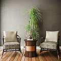Cozy Lounge Area With Wicker Chairs Patterned Cushions Brown Cylindrical Table And Tall Green Plant