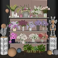 Colorful Flowers In Multiple Vases Arranged On Decorative Shelf With Green Plants