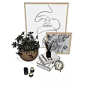 Decorative Ornament Set With Potted Plant Abstract Line Art Diffuser Bottle Book And Clock