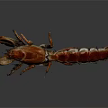 Red Lobster 3D Model With Detailed Claws And Segmented Body On Dark Background