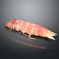 Vibrant Pink and Orange Mantis Shrimp with Segmented Body on Dark Background and Reflection