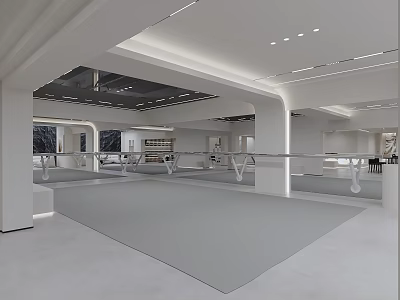 Modern Spacious Minimalist White Dance Studio With Mirrors And Barres Interior Design 3d model