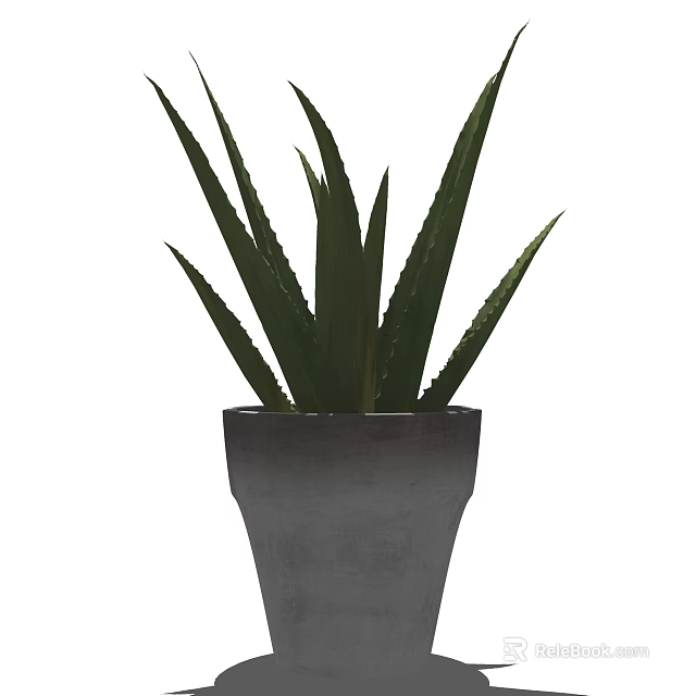Bonsai Potted Aloe Vera Plant With Green Leaves In Gray Ceramic Pot 3d model 