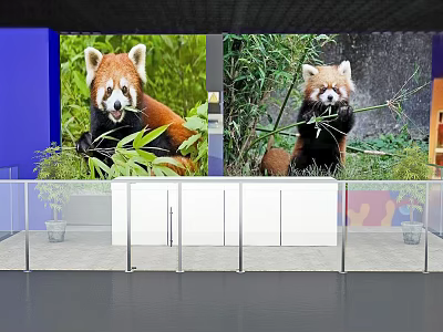 Transparent Display Shelves with Large Screens Showing Red Panda Images and Green Plants 3d model