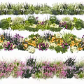 Diverse Garden Shrub Varieties with Colorful Flowers and Green Foliage