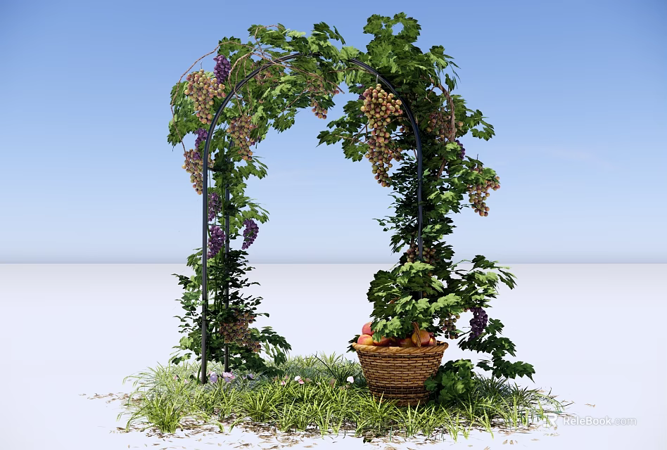 Pergola Adorned With Climbing Grape Vines Green Leaves Purple Clusters And Wicker Basket On Grass 3d model 