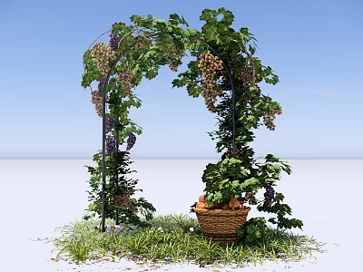 Pergola Adorned With Climbing Grape Vines Green Leaves Purple Clusters And Wicker Basket On Grass 3d model
