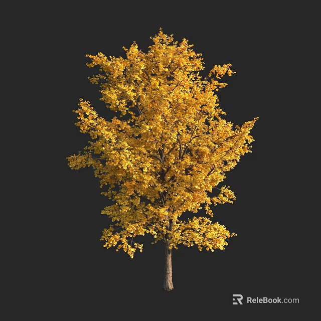 Bonsai Tree With Golden Yellow Autumn Foliage For Indoor Decorative 3d model 