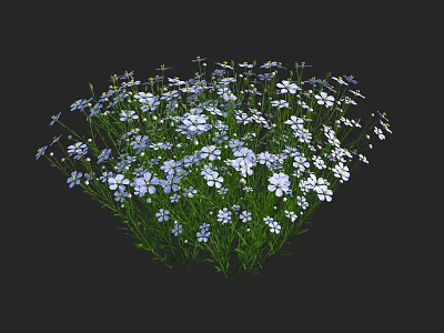 Blooming Blue And White Flowers With Green Leaves In Natural Cluster 3d model