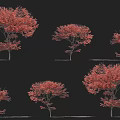 Red Leaf Arbor Trees With Various Shapes Display On Black Background 3d model