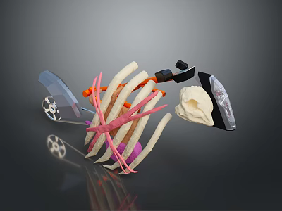 Motorcycle 3D Model With Assorted Colorful Detailed Components And Transparent Parts 3d model