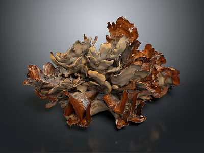 Textured Organic Organ Structure With Hair Like Fibers And Brown Gray Tones 3d model