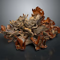 Textured Organic Organ Structure With Hair Like Fibers And Brown Gray Tones