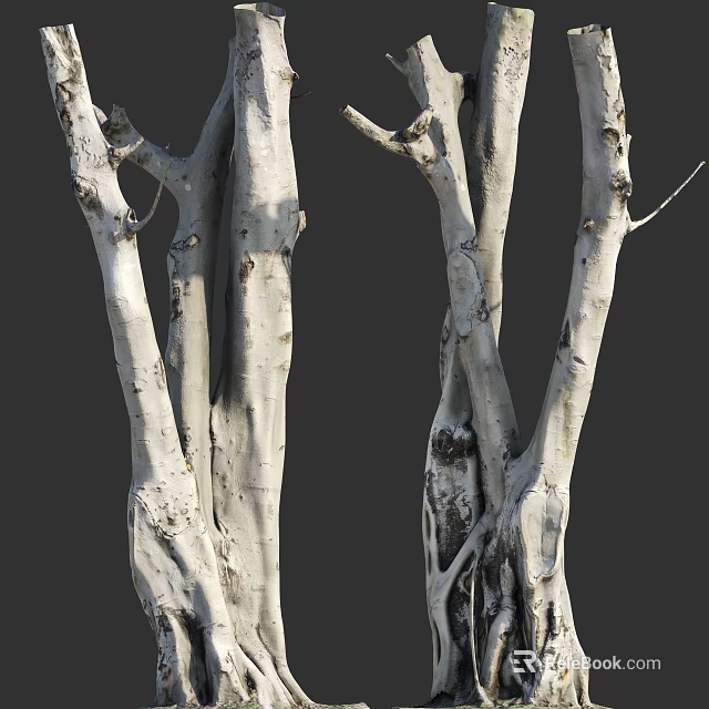 Natural Stone And Wood Decorative Twisted Trunks With Exposed Roots Texture 3d model 