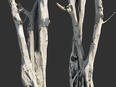 Natural Stone And Wood Decorative Twisted Trunks With Exposed Roots Texture 3d model