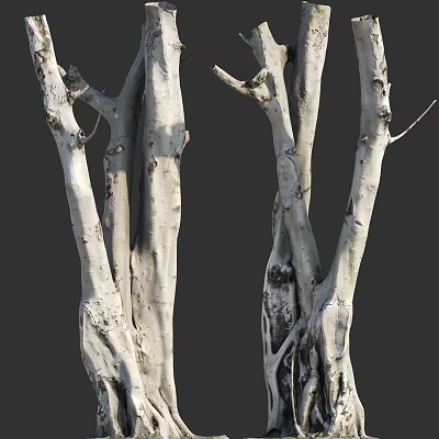 Natural Stone And Wood Decorative Twisted Trunks With Exposed Roots Texture 3d model