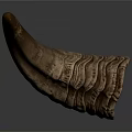 Cow Horn With Natural Texture And Curved Shape On White Background