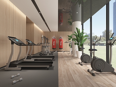 Modern Gym Fitness Equipment 3d model