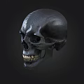 Detailed Black Textured 3D Skull With White Teeth On Dark Background 3d model