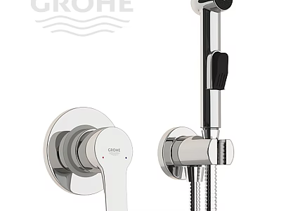 GROHE Wall Mounted Shower Faucet With Handheld Shower And Chrome Finish 3d model