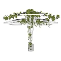 Layered Circular Pergola With Metal Frame And Green Vines Growing Around