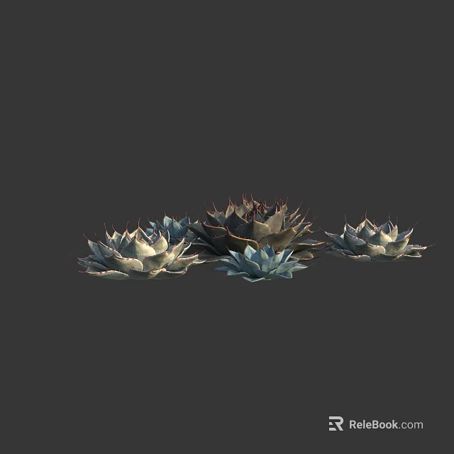 Beautiful Succulent Plants With Rosette Shapes In Various Colors On Dark Background 3d model 