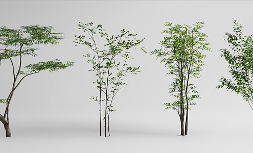 Landscape tree, modeling tree, arbor 3d model