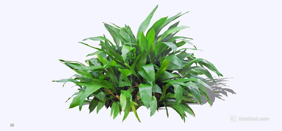 Lush Healthy Bush With Vibrant Fresh Green Leaves And Dense Foliage 3d model 