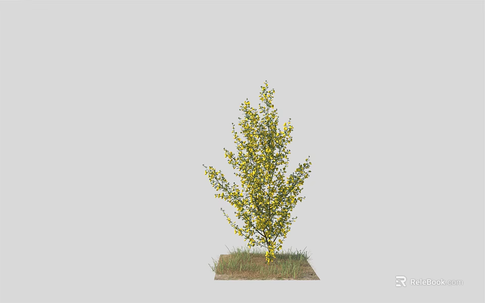 Deciduous Tree with Yellow Leaves Growing on Green Grass in Natural Scene 3d model 