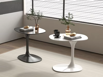 Black and White Round Side Tables with Curved Base Potted Plants Coffee Mug and Books 3d model