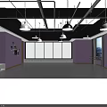 Fitness Dance Studio With Gray Floor Pink Walls Black Ceiling And Mirrored Wall Ballet Barres