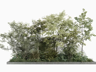 Lush Green Flowers And Plants With Various Trees Shrubs And Natural Rock In Garden Landscape 3d model