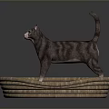 Gray Cat With Yellow Eyes Standing On Wicker Basket With Red Plaid Cushion