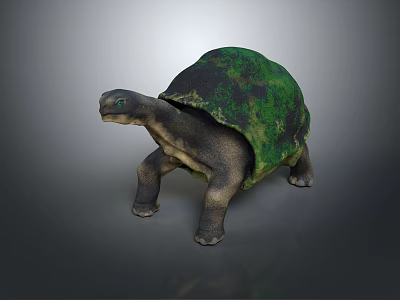 Realistic Green Shell Turtle Model With Textured Surface On Gray Background 3d model