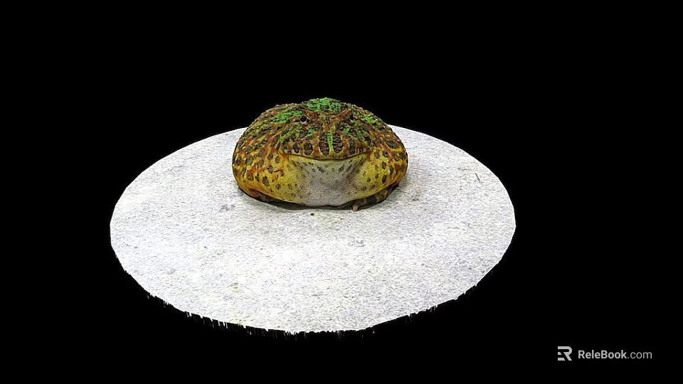 Colorful Green Yellow Spotted Frog Game And Movie Character Sitting On White Circular Platform 3d model 