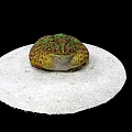 Colorful Green Yellow Spotted Frog Game And Movie Character Sitting On White Circular Platform