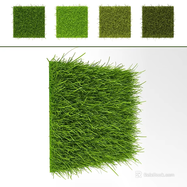Different Types of Green Grass with Natural Shades and Textured Samples 3d model 