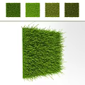 Different Types of Green Grass with Natural Shades and Textured Samples