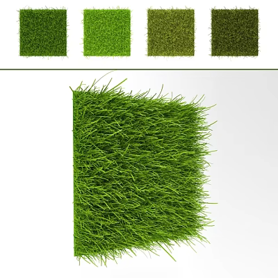 Different Types of Green Grass with Natural Shades and Textured Samples 3d model