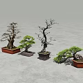 Four Decorative Bonsai Trees with Various Styles Arranged on Gray Surface 3d model