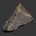 Petrified Stone With Natural Texture Rough Surface And Geological Specimen