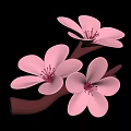 Pink Blossom Plant With Soft Pink Petals And Red Stamens On Brown Branches