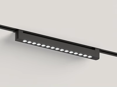 Modern Downlights and Spotlights with Black Metal Frame and Multiple LED Bulbs 3d model
