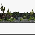 Natural Arid Terrain Showcasing Diverse Cacti Succulents Rocks And Gravel