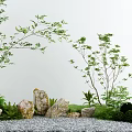 Courtyard Garden Design With Lush Green Trees Stones Gravel Ground And Bushes