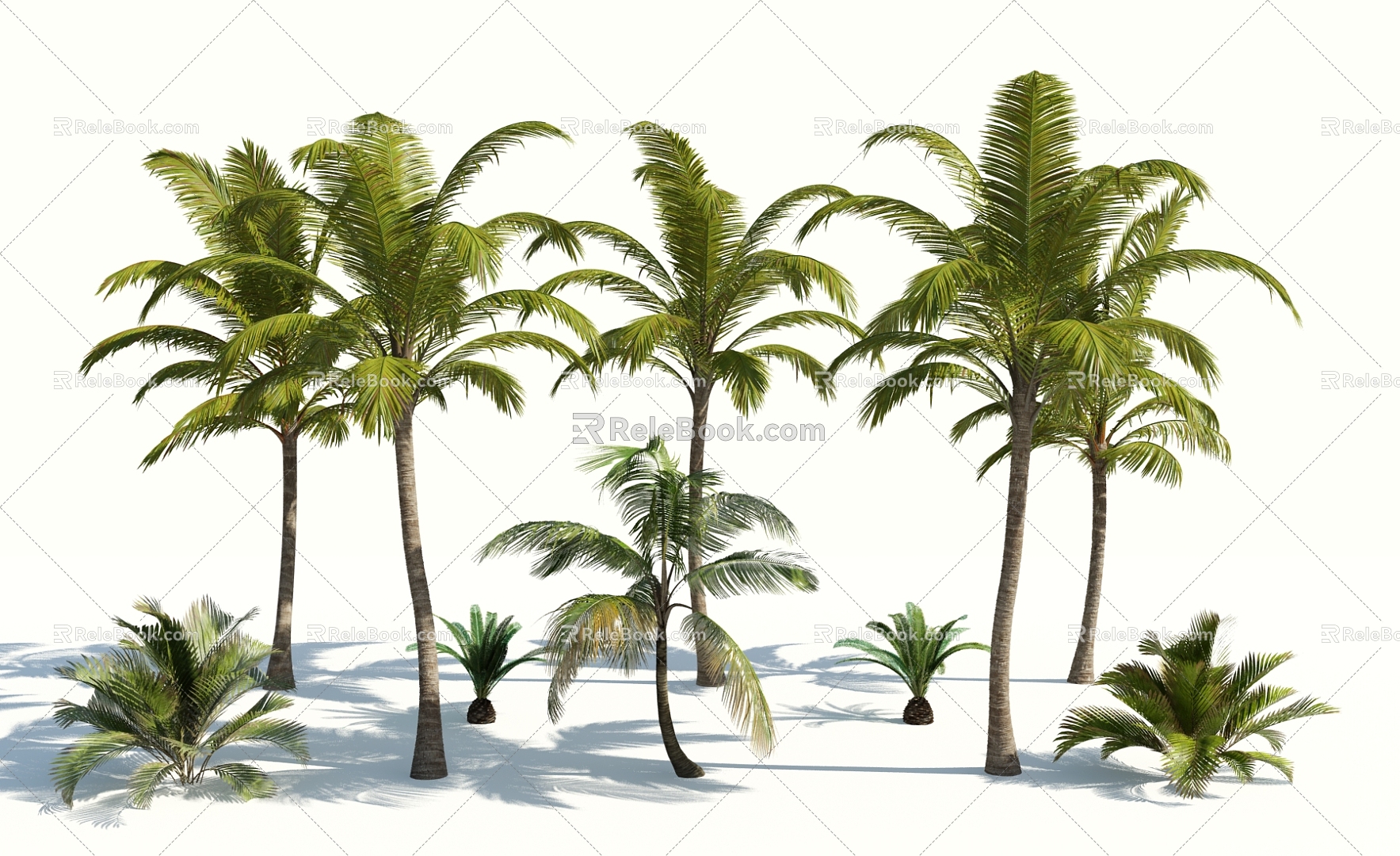 Modern Palm Tree 3d model