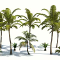 Modern Palm Tree 3d model
