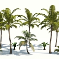 Modern Palm Tree 3d model