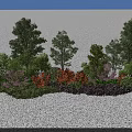 Lush Outdoor Flowers and Plants With Trees Shrubs and Vibrant Colored Blooms
