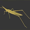 Green Grasshopper With Long Legs And Leaf Shaped Body On Dark Background